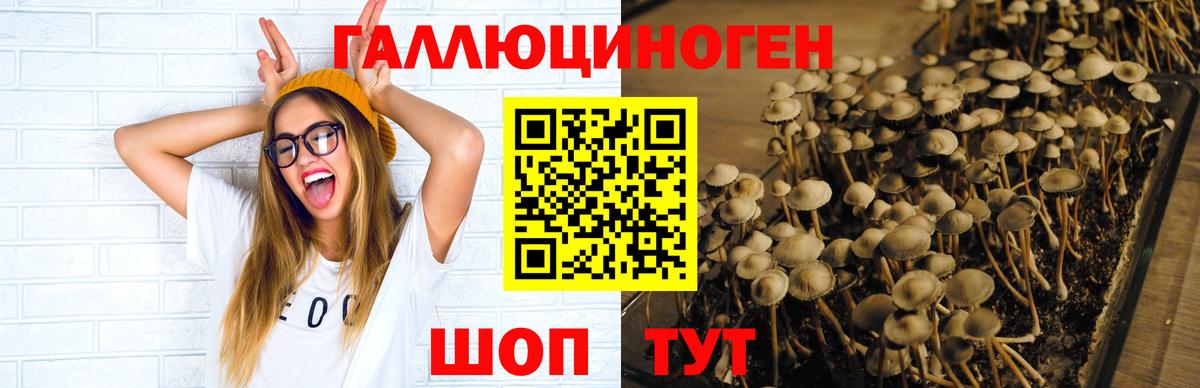 Псилоцибиновые грибы мицелий  Псилоцибиновые грибы MAGIC MUSHROOMS  Вход с VPN  Советский 