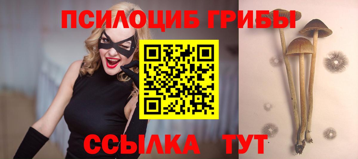 Галлюциногенные грибы Cubensis Советский