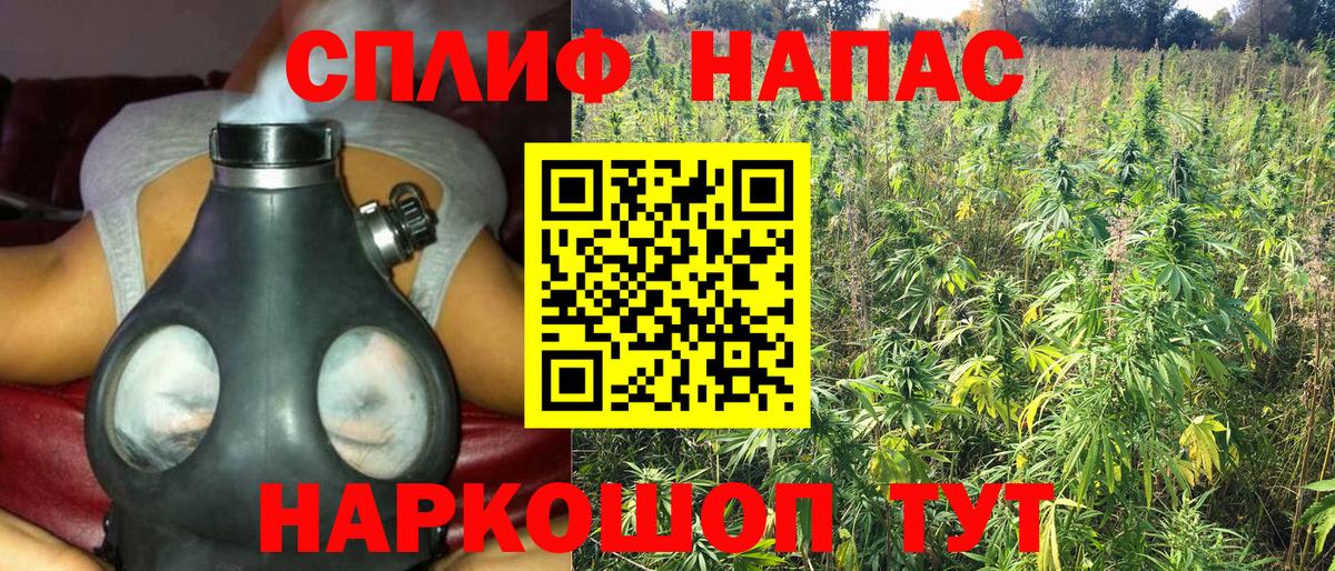 Бошки марихуана планчик Советский